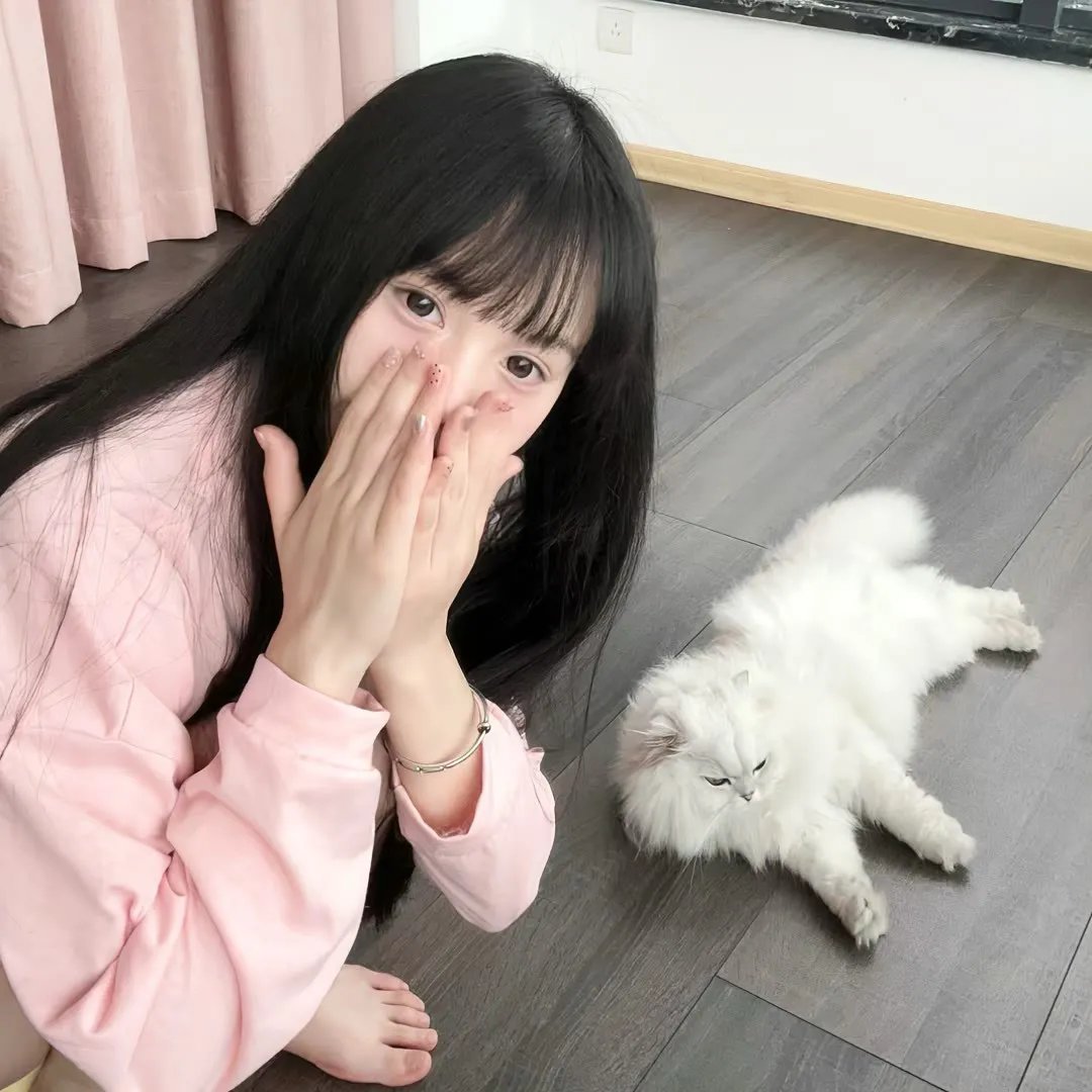 继承者们
